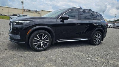 2024 INFINITI QX60 AUTOGRAPH
