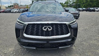 2024 INFINITI QX60 AUTOGRAPH