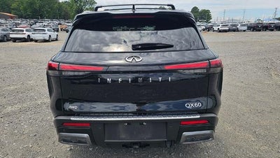 2024 INFINITI QX60 AUTOGRAPH
